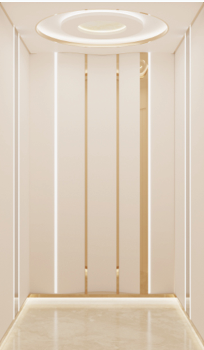 Passenger Elevator